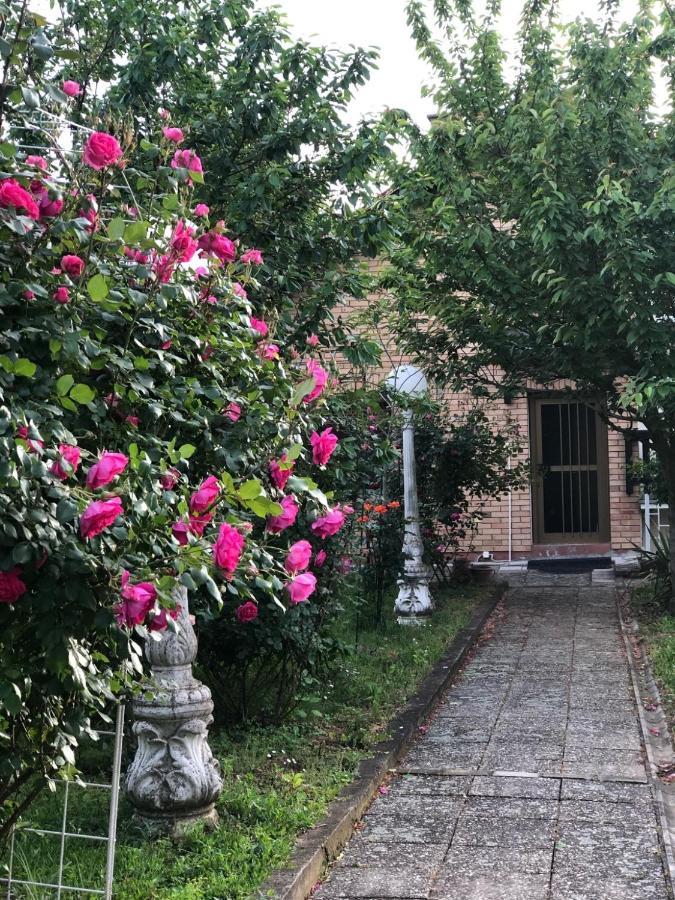 Villa Elita - Bela Crkva Bela Crkva  Exterior foto